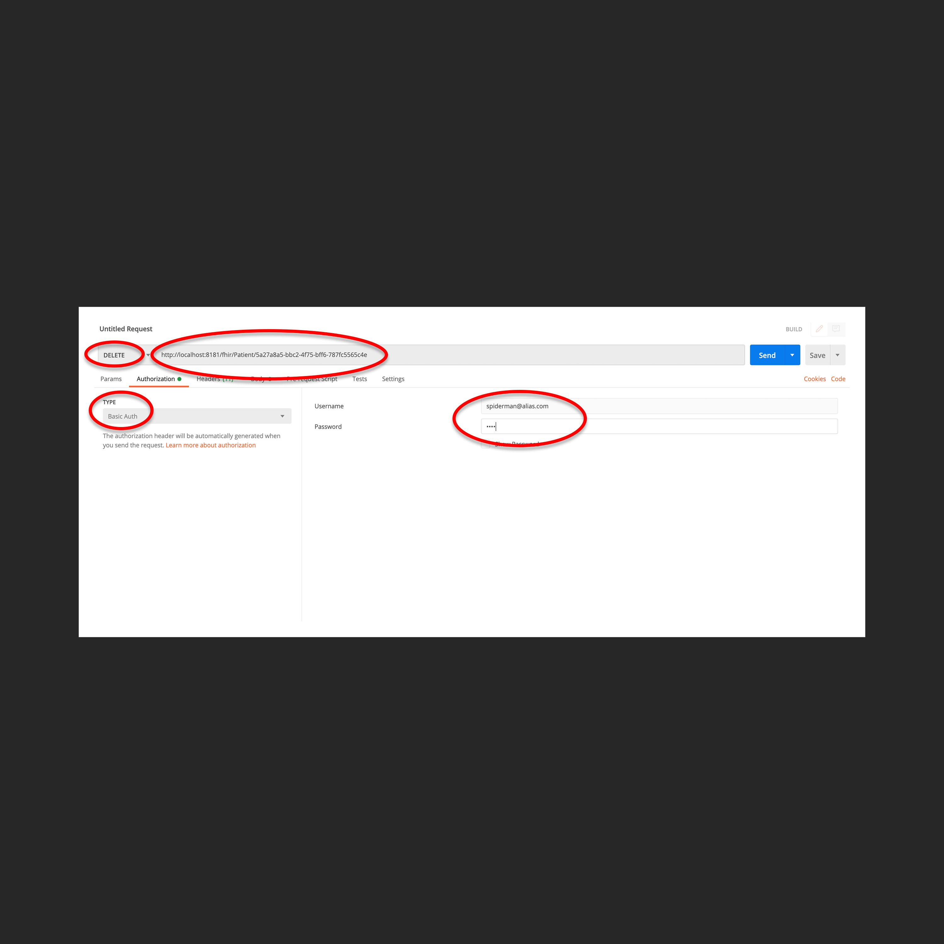 Postman Delete Request